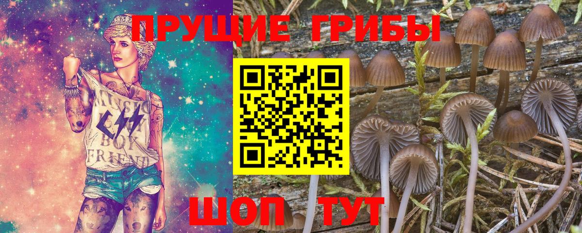 Галлюциногенные грибы GOLDEN TEACHER Северск