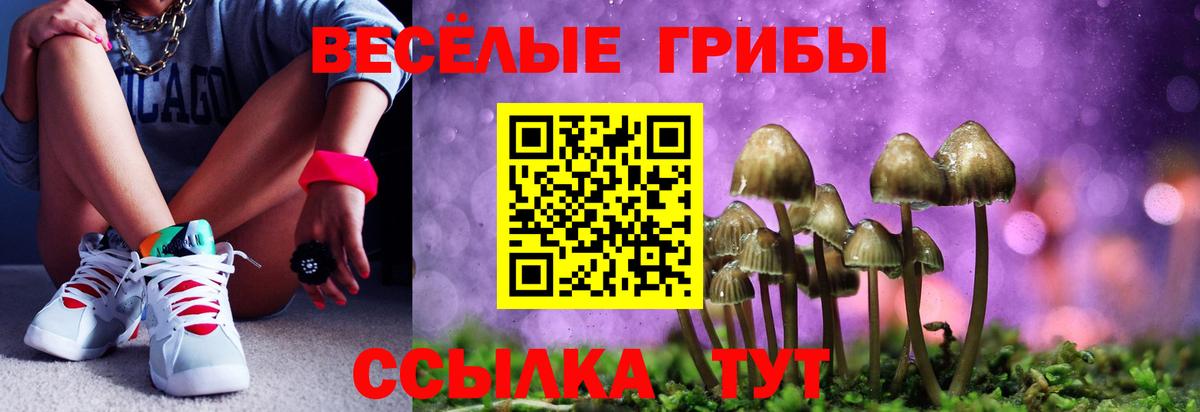 Псилоцибиновые грибы ЛСД  Вход с VPN  Псилоцибиновые грибы ЛСД  Северск 